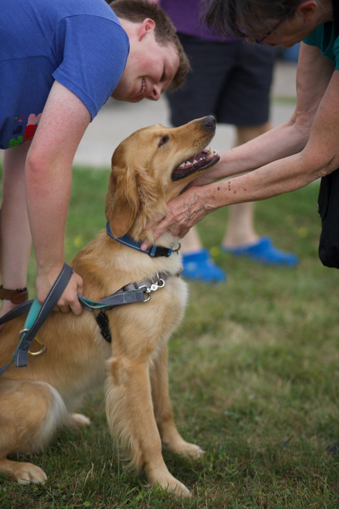 A golden retriever receives some pets at the Summer Game Spectacular