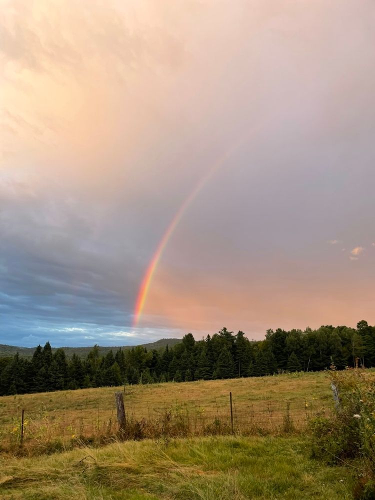 a field at evening with a line of pine trees in the distance and a big grey cloud overhead. a rainbow cuts the sky. 