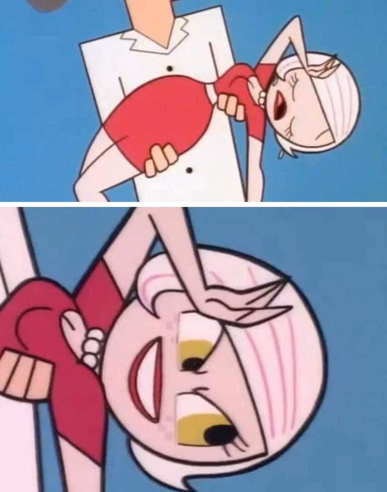 2 panel meme from the cartoon Powerpuff Girls

In the first panel the professor is holding a woman who has just fainted

In the second panel the professor and woman are positioned in the same way, but the woman now has a sinister smile on her face