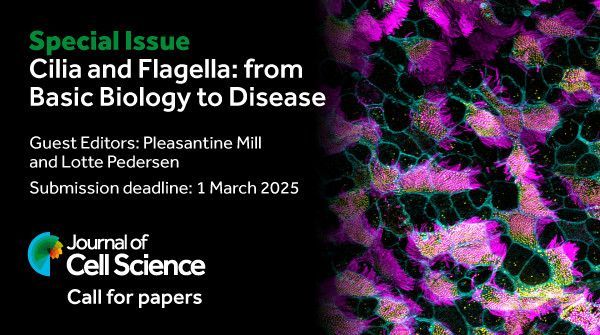 Special Issue Cilia and Flagella: from Basic Biology to Disease 
Guest Editors: Plesantine Mill and Lotte Pedersen
Submission deadline: 1 March 2025
Journal of Cell Science logo
Call for papers