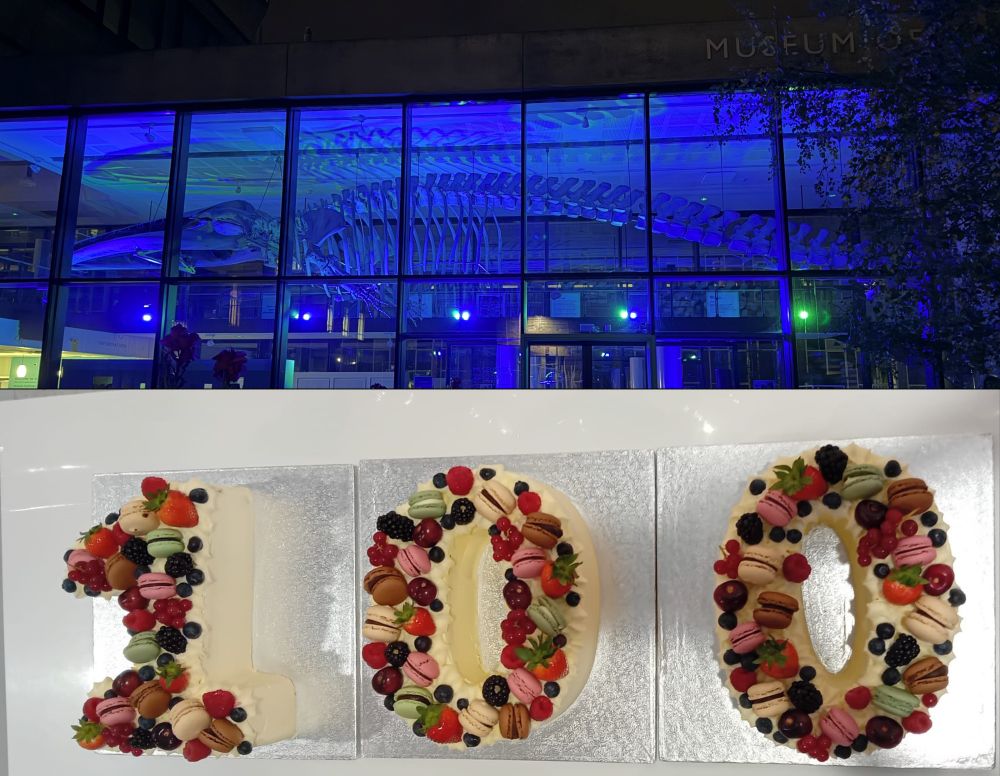 Photo of whale at Museum of Zoology and photo of 100 cake