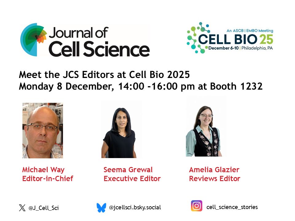 Meet the JCS editors - Michael Way, Seema Grewal and Amelia Glazier