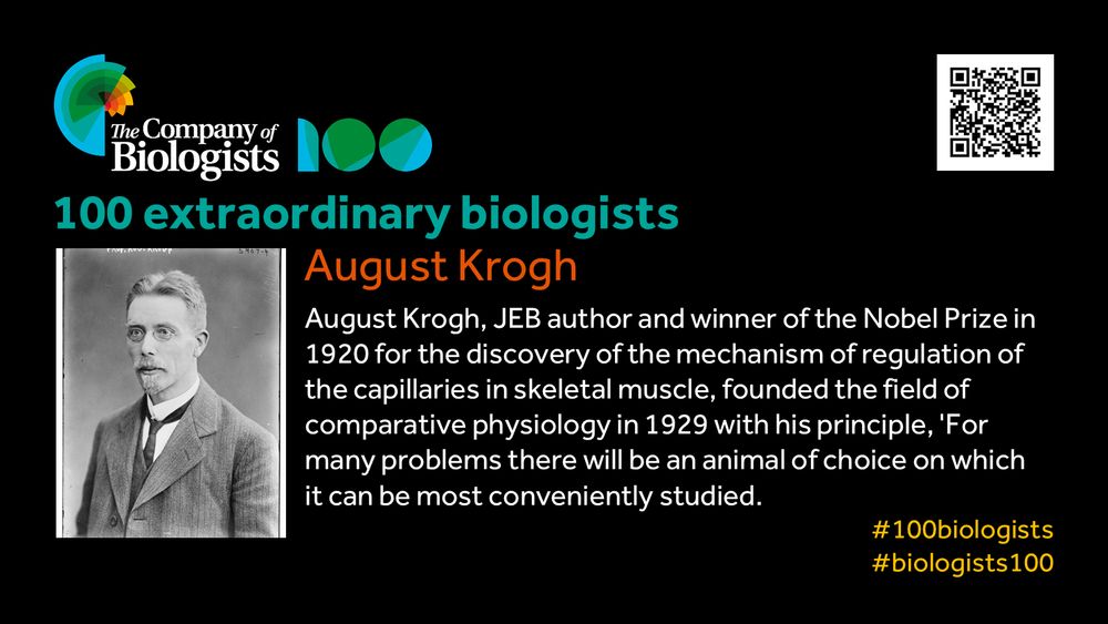 The Company of Biologists 100 logo to the left and QR code to the right.
 
Portrait of August Krogh, to the left, text to the right
 
100 extraordinary biologists

August Krogh
August Krogh, JEB author and winner of the Nobel Prize in 1920 for the discovery of the mechanism of regulation of the capillaries in skeletal muscle, founded the field of comparative physiology in 1929 with his principle, 'For many problems there will be an animal of choice on which it can be most conveniently studied.

#100biologists #biologists100