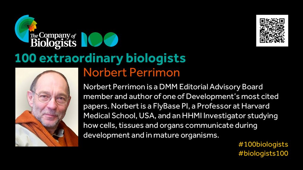 The Company of Biologists 100 logo to the left and QR code to the right.
 
Portrait of Norbert Perrimon to the left, text to the right
 
100 extraordinary biologists

Norbert Perrimon


Norbert Perrimon is a DMM Editorial Advisory Board member and author of one of Development’s most cited papers. Norbert is a FlyBase PI, a Professor at Harvard Medical School, USA, and an HHMI Investigator studying how cells, tissues and organs communicate during development and in mature organisms.

#100biologists #biologists100