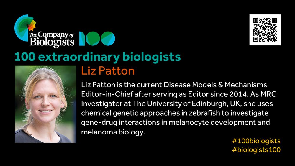 The Company of Biologists 100 logo to the left and QR code to the right.
 
Portrait of Liz Patton to the left, text to the right
 
100 extraordinary biologists

Liz Patton

Liz Patton is the current Disease Models & Mechanisms Editor-in-Chief after serving as Editor since 2014. As MRC Investigator at The University of Edinburgh, UK, she uses chemical genetic approaches in zebrafish to investigate gene-drug interactions in melanocyte development and melanoma biology.

#100biologists #biologists100
