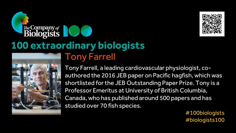 The Company of Biologists 100 logo to the left and QR code to the right.
 
Portrait of Tony Farrell to the left, text to the right
 
100 extraordinary biologists

Tony Farrell

Tony Farrell, a leading cardiovascular physiologist, co-authored the 2016 JEB paper on Pacific hagfish, which was shortlisted for the JEB Outstanding Paper Prize. Tony is a Professor Emeritus at University of British Columbia, Canada, who has published around 500 papers and has studied over 70 fish species.
 
#100biologists #biologists100