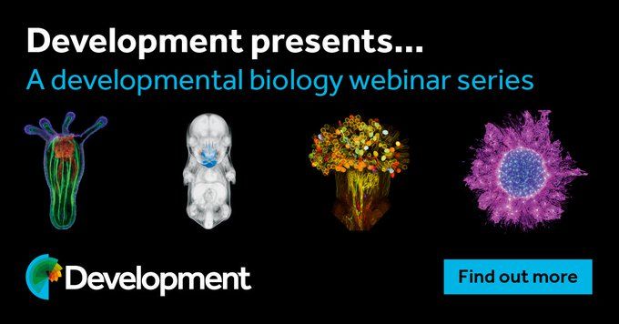Development presents... A developmental biology webinar series