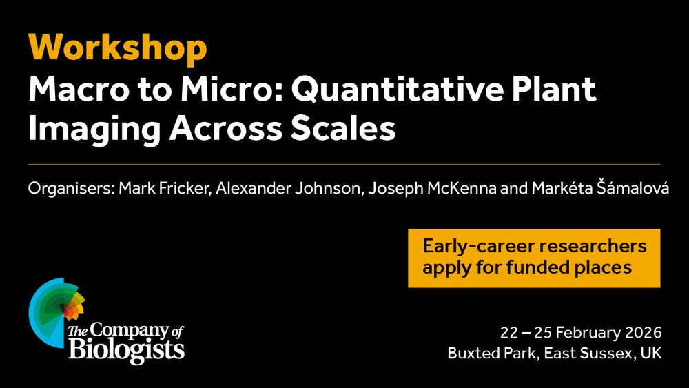 Macro to Micro: Quantitative Plant Imaging Across Scales
Organisers: Mark Fricker, Alexander Johnson, Joseph McKenna and Markéta Šámalová
Early-career researchers click to apply for funded places
22-25 February 2026
Buxted Park, East Sussex, UK