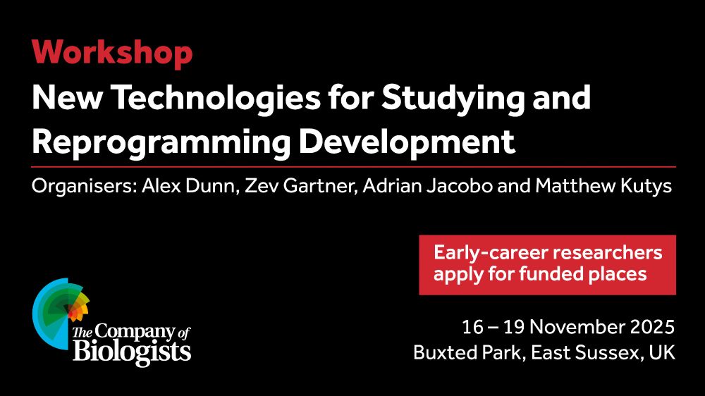 Workshop 
New Technologies for Studying and Reprogramming Development

Organisers: Alex Dunn, Zev Gartner, Adrian Jacobo and Matthew Kutys

Early-career researchers apply for funded places 

16-19 November 2025
Buxted Park, East Sussex, UK