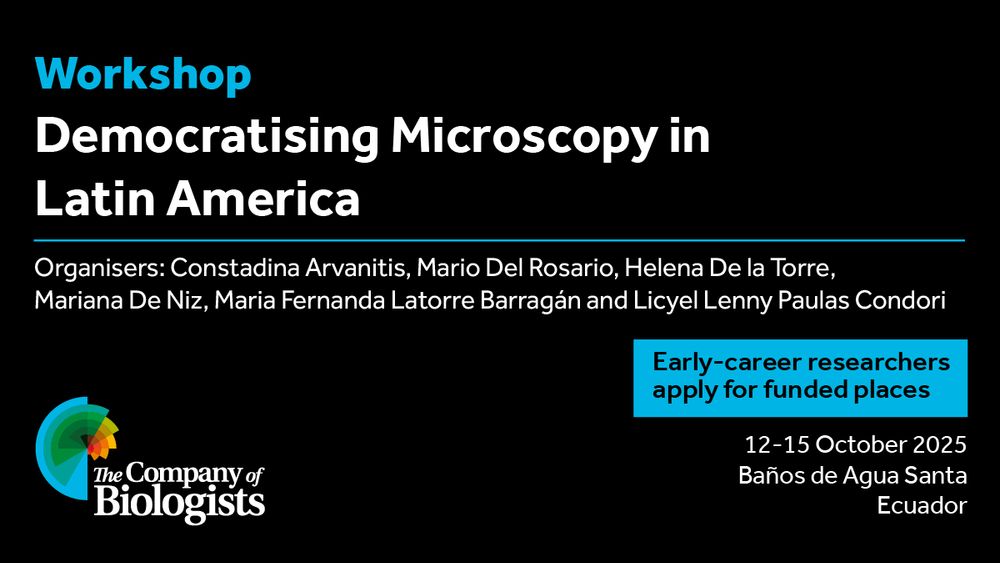Workshop Democratising Microscopy in Latin America

Organisers: Constadina Arvanitis, Mario Del Rosario, Helena De la Torre, Mariana De Niz, Maria Fernanda Latorre Barragán and Licyel Lenny Paulas Condori