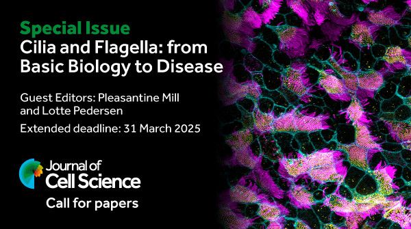 Special Issue Cilia and Flagella: from Basic Biology to Disease 
Guest Editors: Pleasantine Mill and Lotte Pedersen
Extended submission deadline: 1 March 2025
Journal of Cell Science logo
Call for papers