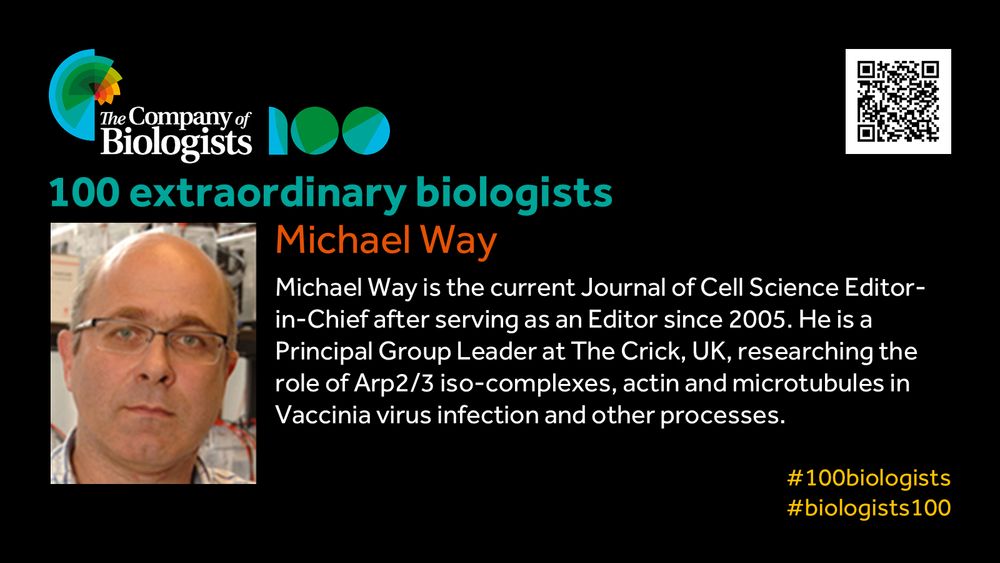 The Company of Biologists 100 logo to the left and QR code to the right.
 
Portrait of Michael Way to the left, text to the right
 
100 extraordinary biologists

Michael Way
Michael Way is the current Journal of Cell Science Editor-in-Chief after serving as an Editor since 2005. He is a Principal Group Leader at The Crick, UK researching the role of Arp2/3 iso-complexes, actin and microtubules in Vaccinia virus infection and other processes.

#100biologists #biologists100