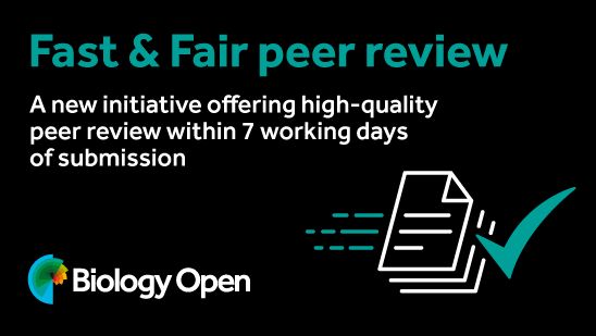 Fast & Fair peer review: A new initiative offering high-quality peer review within 7 working days of submission.
Imagery of a stack of papers with a tick mark, and the Biology Open nautilus logo.