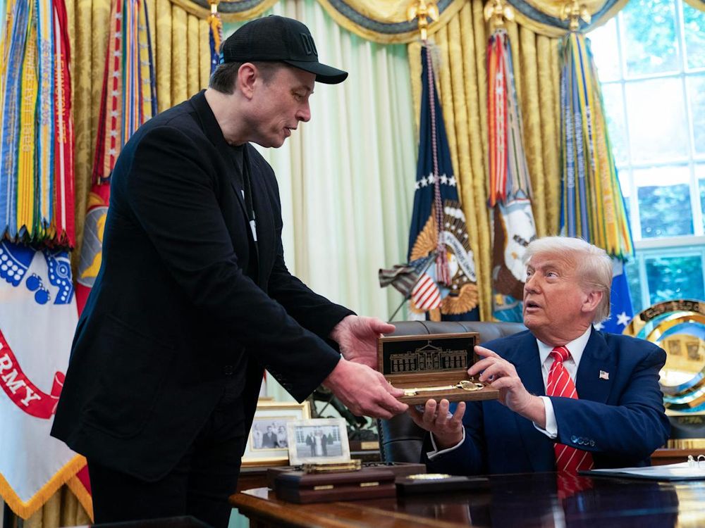 Elon Musk is criticizing Donald Trump — and Trump isn't hitting back. Why?