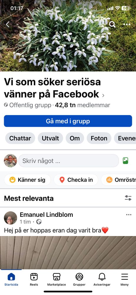 Skärmdump från En grupp som heter, vi som söker seriösa vänner på Facebook. 