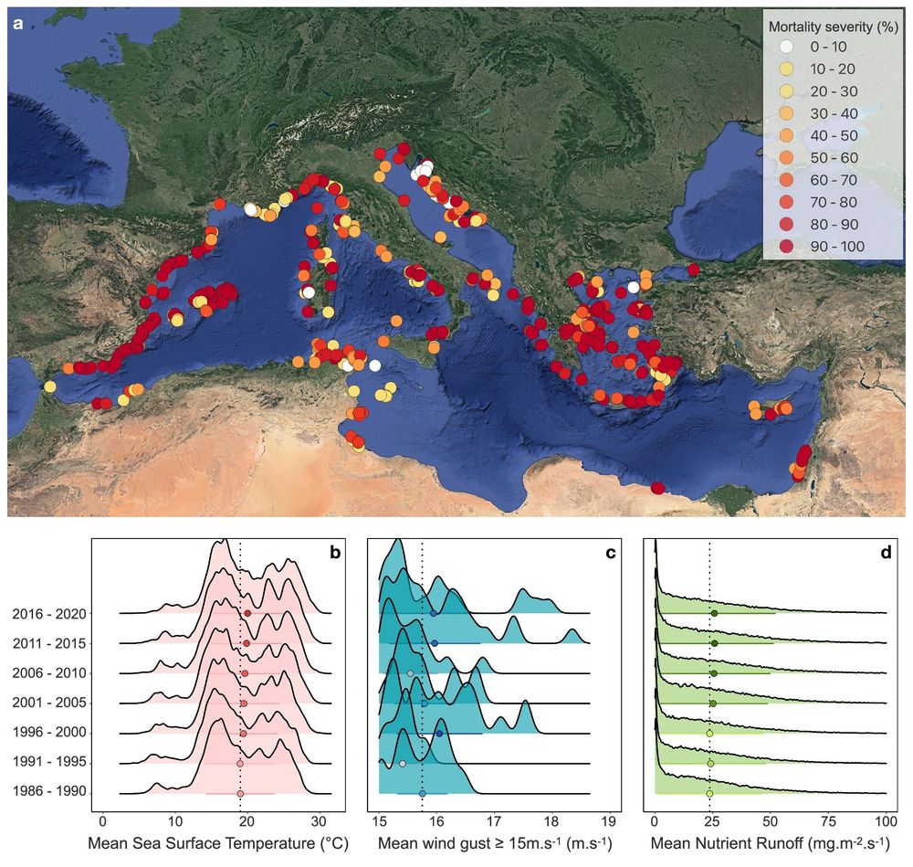 Distribution of mass mortality events (MMEs) across the Mediterranean Sea. Image from the article.