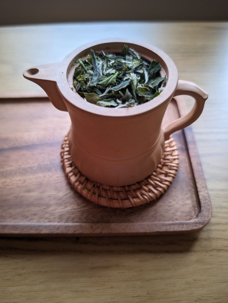 a tall white clay teapot filled to the brim with dry white tea leaves