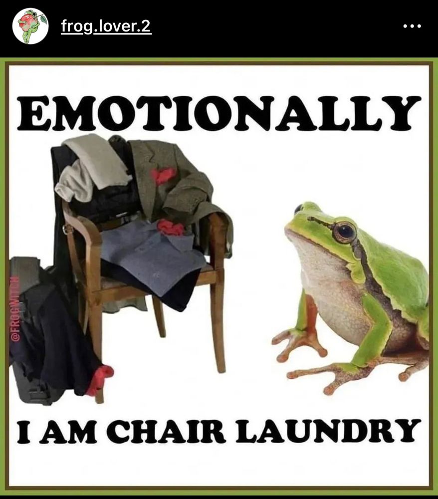 a meme that says “emotionally i am chair laundry”