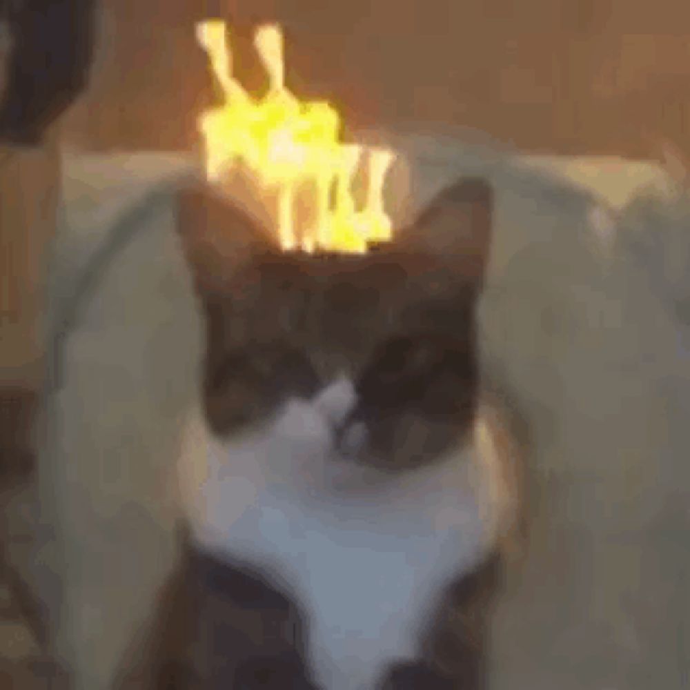 a cat with a torch on its head .