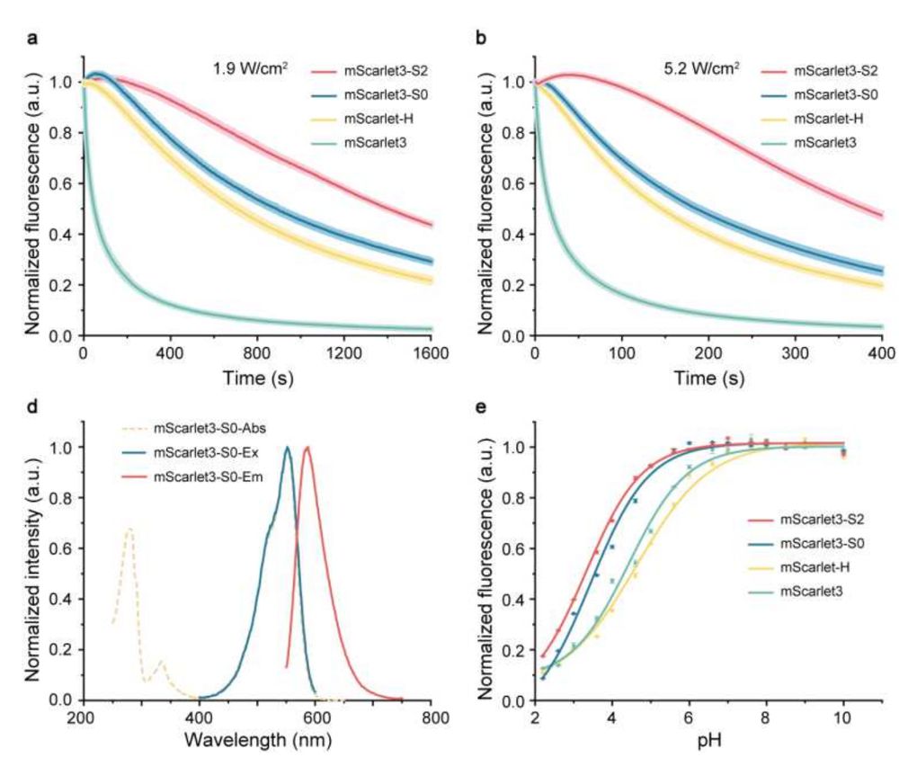 Fig. 1 Photostable and fluorescence properties of mScarlet3-S2. a, b, Photostability of red emitting mScarlet variants expressed in live U-2 OS cells under continuous WF illumination at 1.9 W/cm2