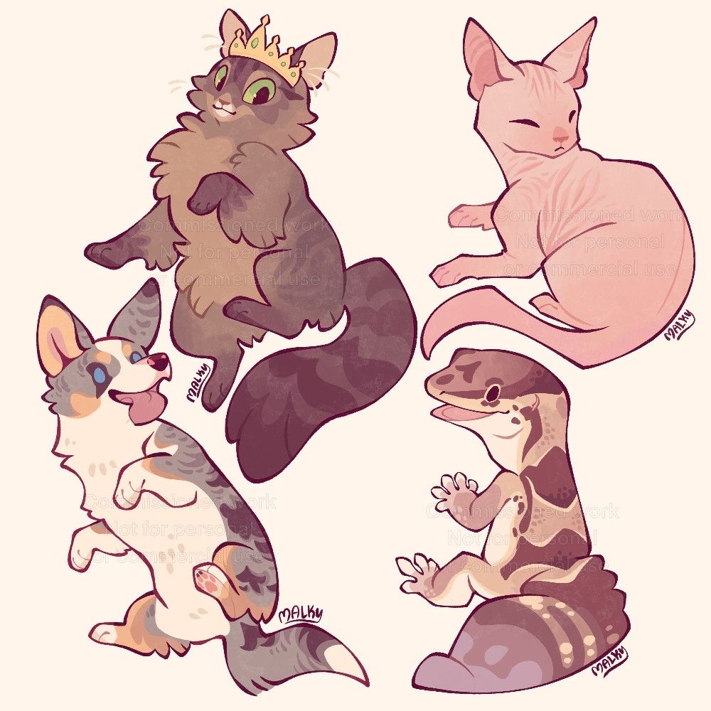 An adorable drawn collection of a fluffy cat in a crown, a sweet sphinx cat, a corgi, and a gecko 