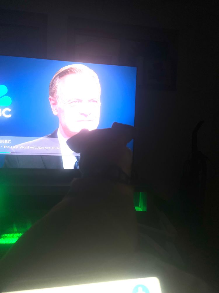 My dog enjoying the last word on Sirius xm