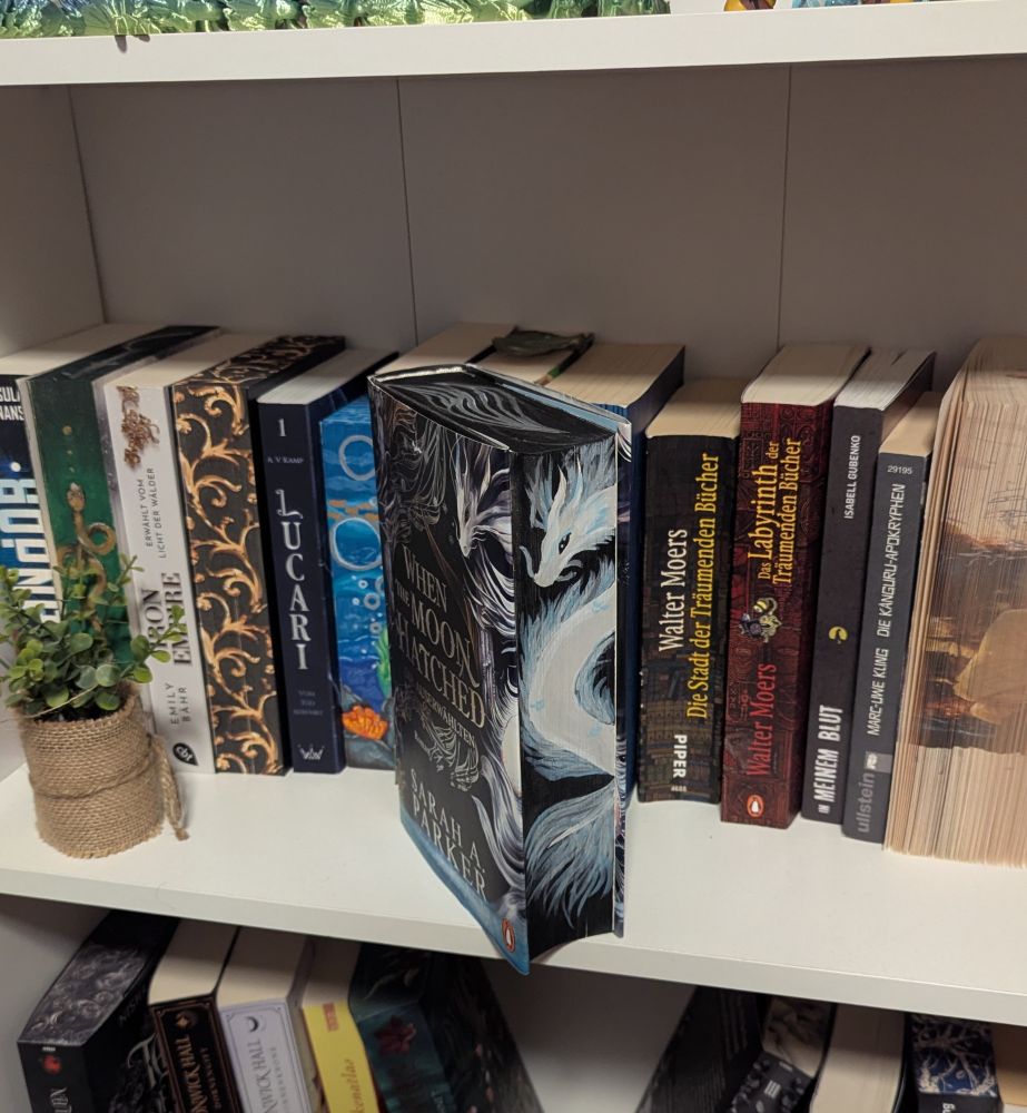 Der gleiche Farbschnitt. Das Buch "When The Moon Hatched" steht in einem Bücherregal 