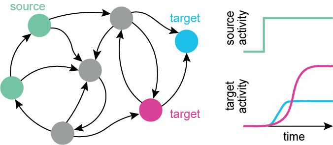 Cartoon of directed network graph and schematic depicting the influence of source cells on target cells is estimated via linear dynamical modeling.