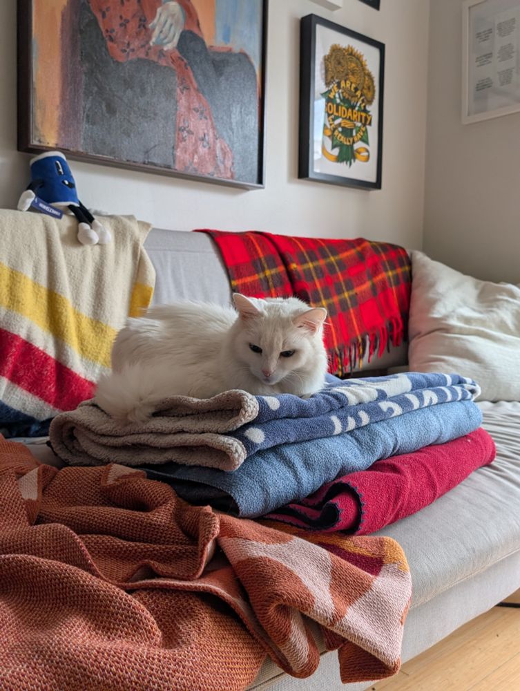 a white cat sitting on a pile of folded blankets 