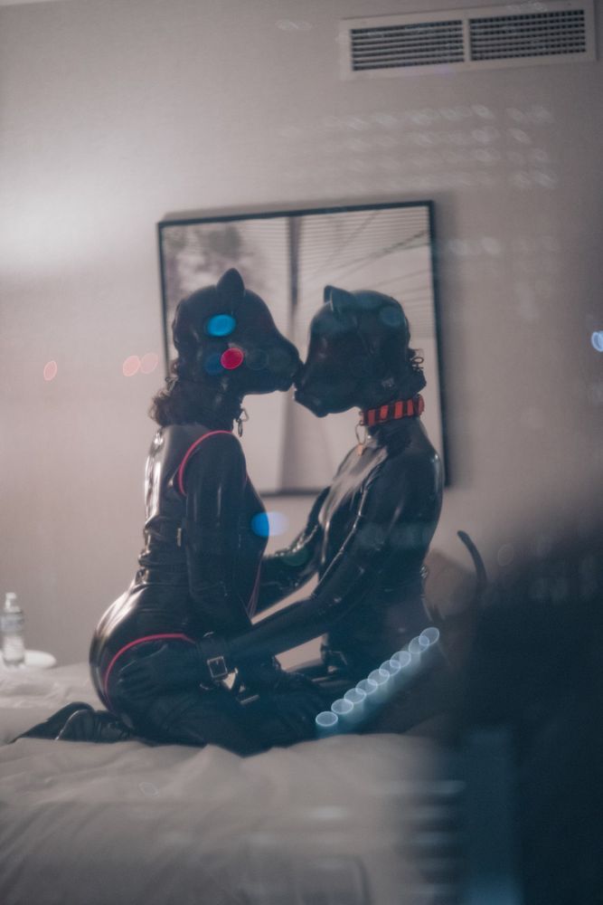 A reflection in a window of two figures fully clad in latex. They are both wearing a droolhound/anthro dool hood, full catsuit, collars, and cuffs. The figure on the right is also wearing a tail. They are both on their knees, gently exploring each others' bodies with their hands as they are unable to see.