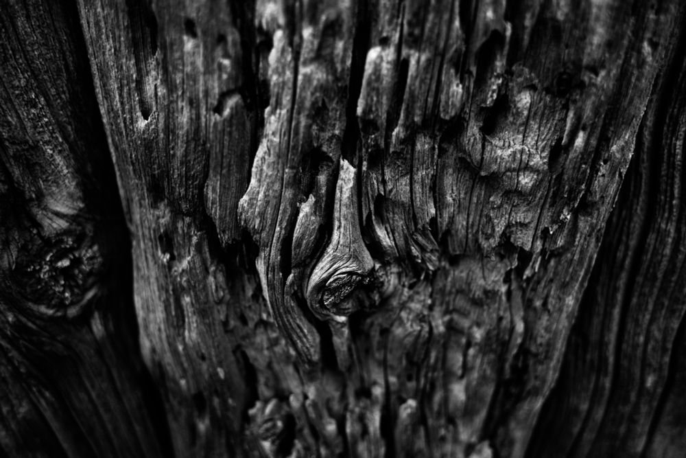 Door & textures