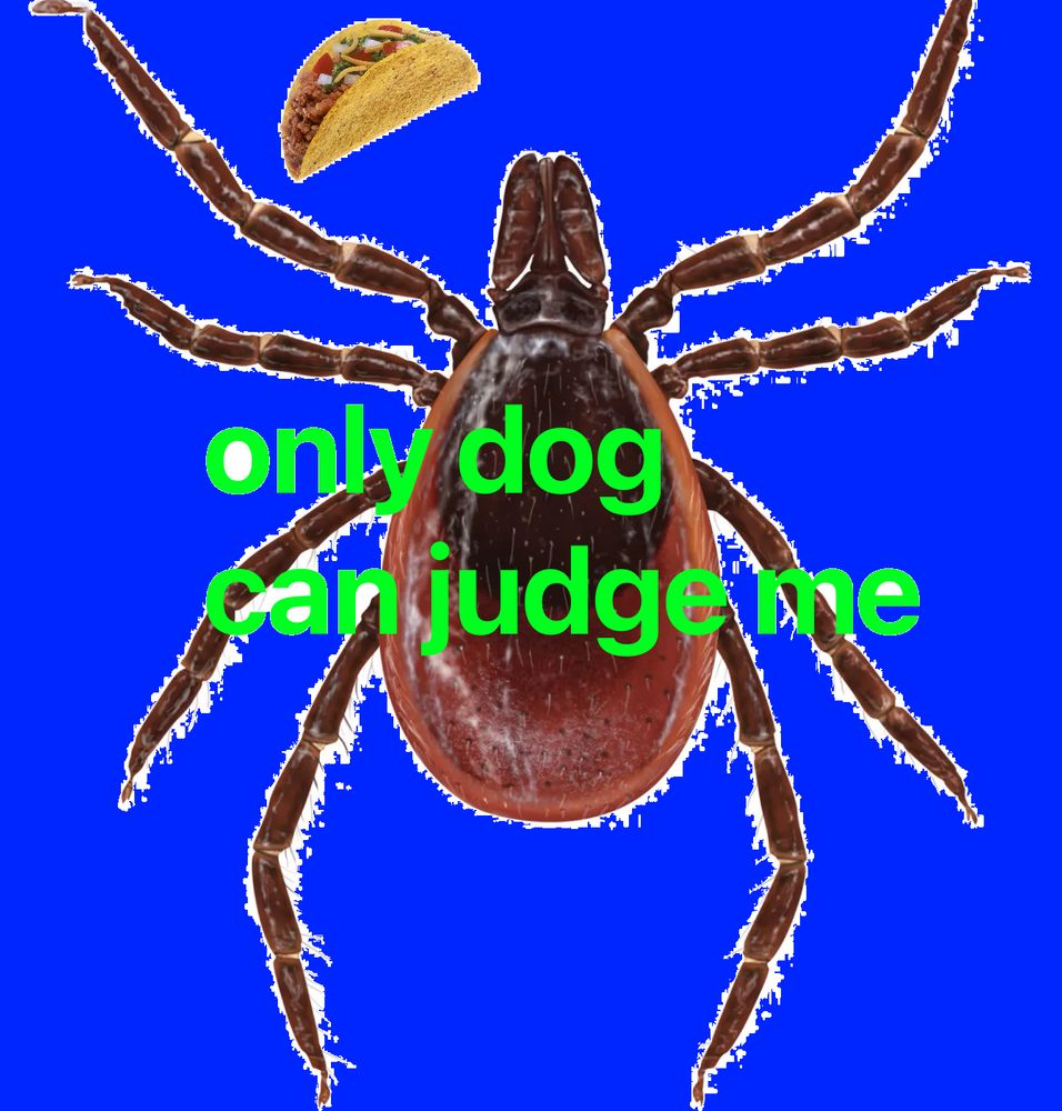 Comment image