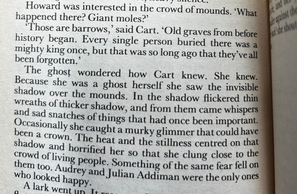 Howard was interested in the crowd of mounds. 'What happened there? Giant moles?' 