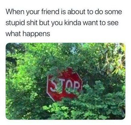 A stop sign partially hidden behind a tree with the headline saying „When your friend is about to do some stupid shit but you kinda want to see what happens“