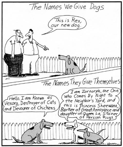 joke about names we give our dogs, and what dogs call themselves.