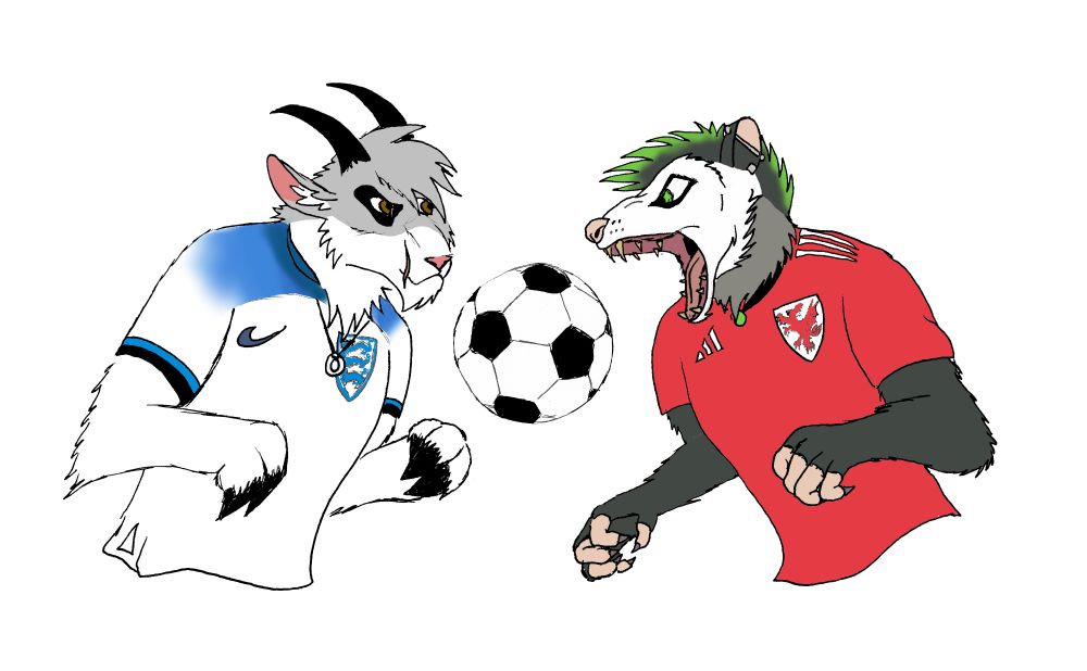 A goat with white and grey fur wearing an England football shirt, and an opossum with grey fur wearing a Wales football shirt, challenge each other in a game of football