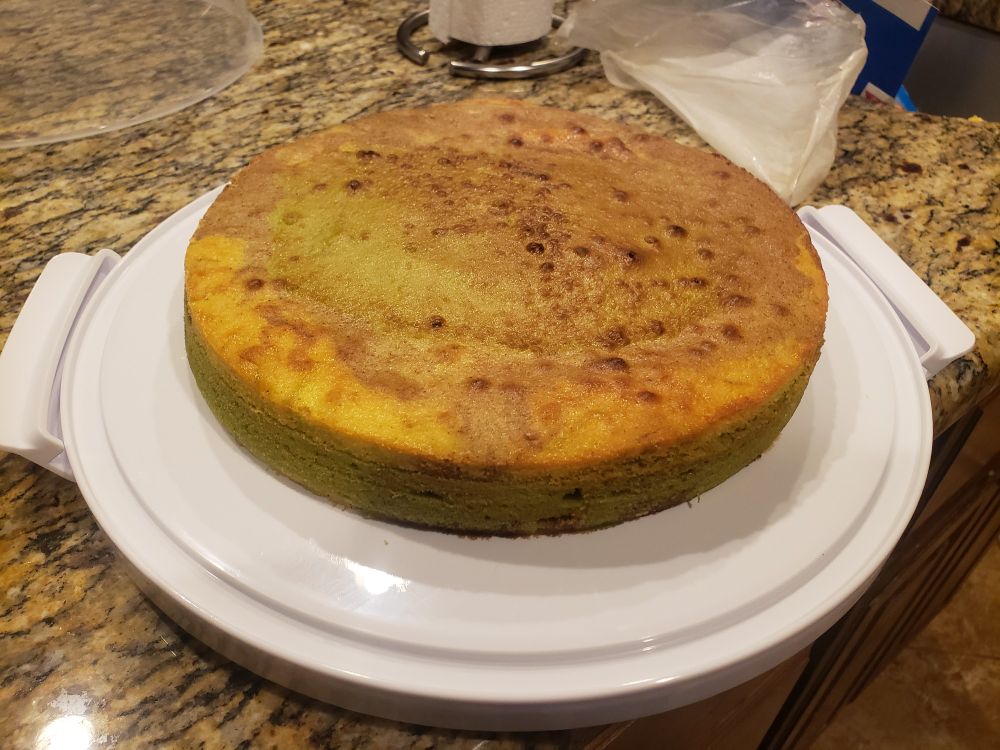 A photo of something called a pandan spekkoek, which I guess is some sort of Indonesian layer cake. Idk, the recipe was in Dutch and I'm pretty certain I screwed it up somehow so it looks more like a weird pancake