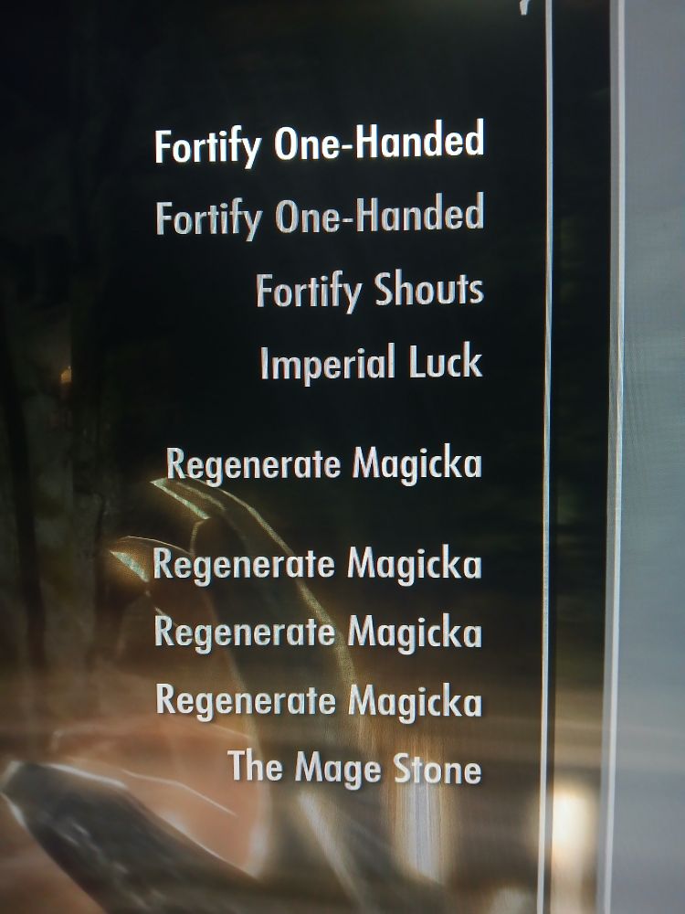 My spellsword build in The Elder Scrolls V: Skyrim