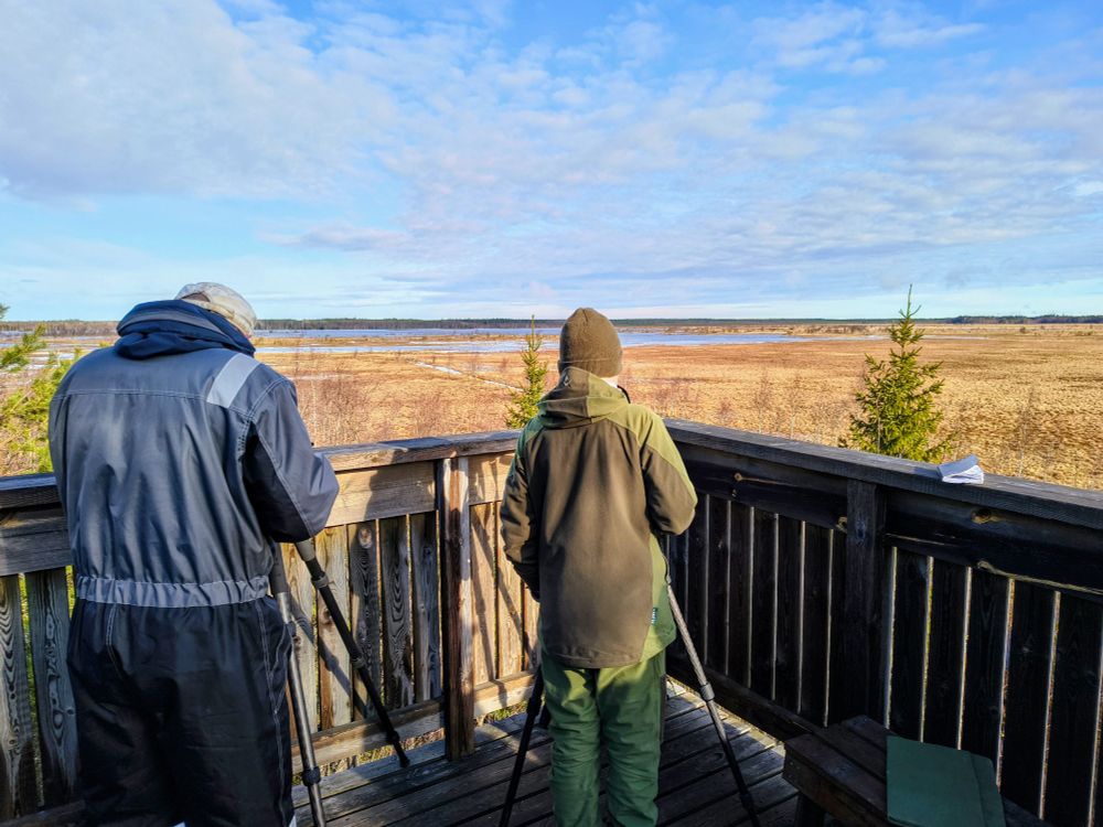 Kaksi ihmistä katsovat kaukoputkella suolle.