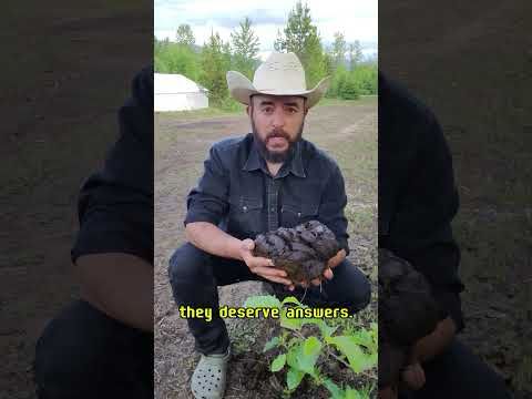 Could YOU be the Next Leader of B.C.'s Green Party?