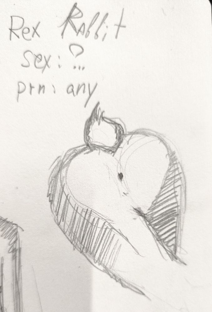A pensil sketch of a bunny showing off their ass. You can see a lighter heart-shaped spot around their butt, the hips are darker. Their tail is perked.
Text above says: 
Rex rabbit
Sex: ?..
Prn: any