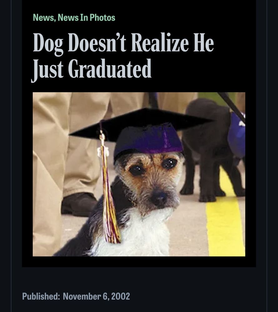 Onion headline: Dog doesn't realize he just graduated Image of scruffy dog in mortarboard Published November 6, 2002