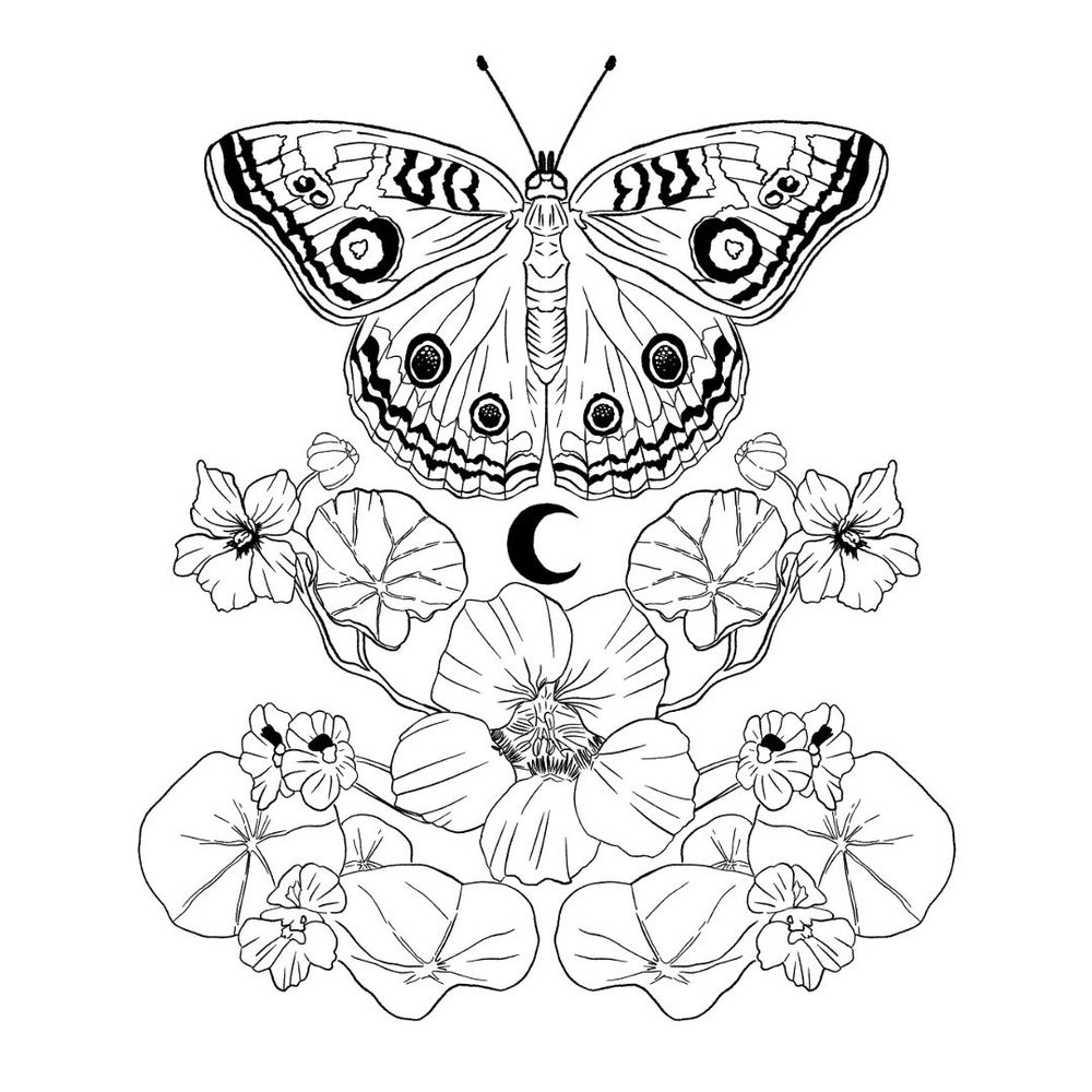 A white and black butterfly over a small crescent moon in black, and leaves and flowers of a taco de reina, a very common plant in Argentina, with edible flowers and curative properties.
Procreate.