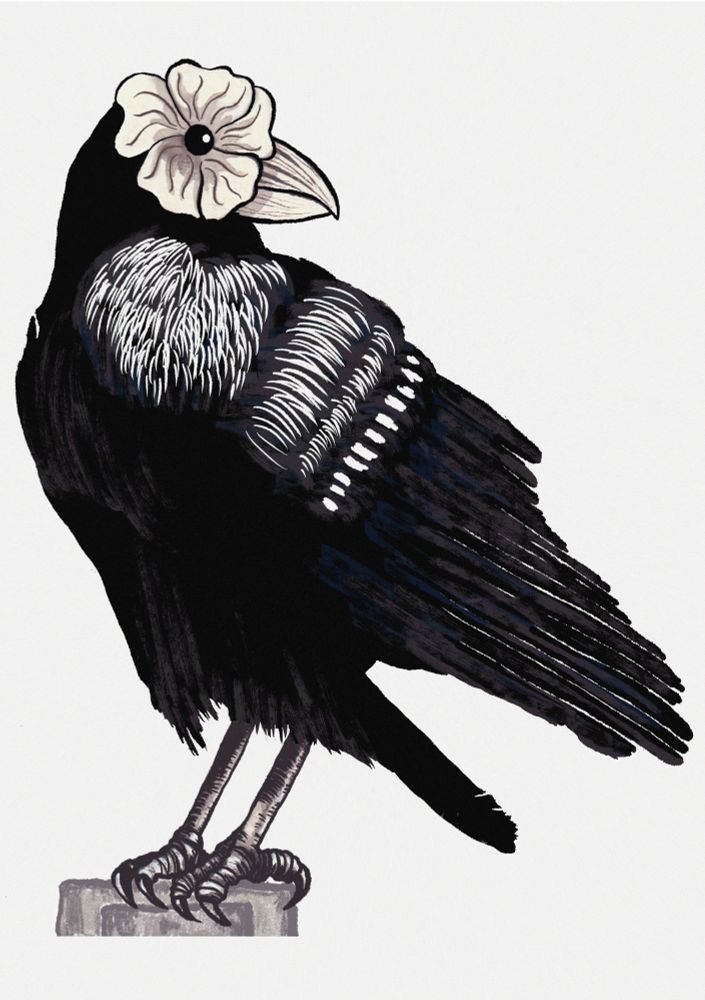 A black raven with white highlights on its wings and chest. It has a five-petal white flower instead of an eye.
Ink on paper, retouched on Photoshop.