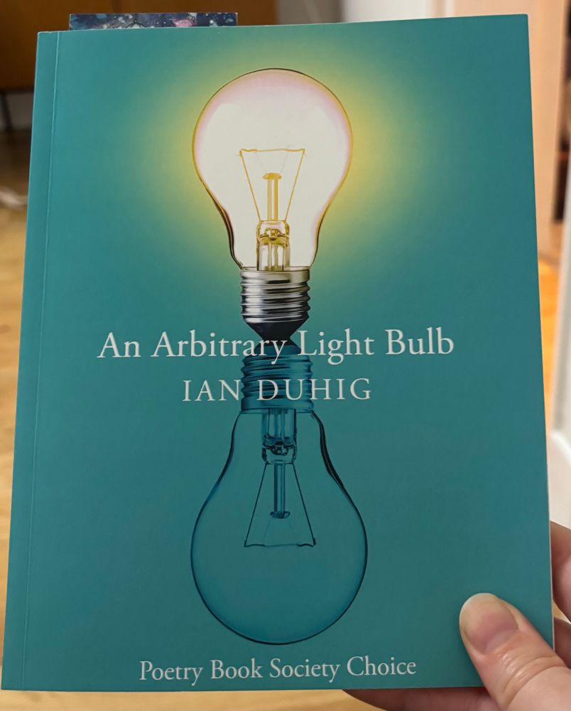 The cover of An Arbitrary Light Bulb by Ian Duhig
