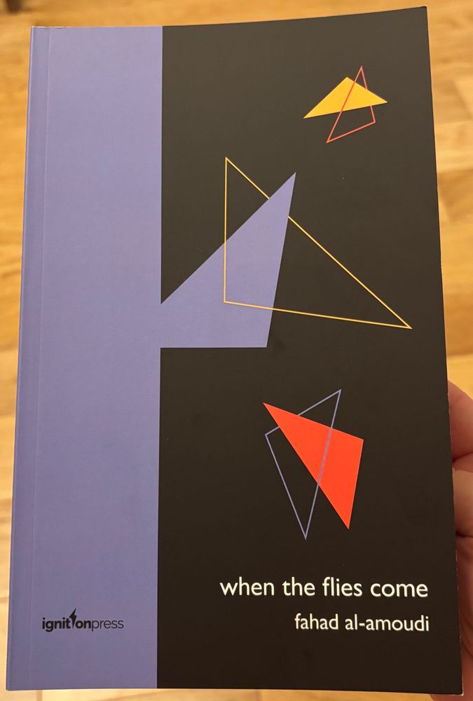 The cover of When the flies come by Fahad Al-Amoudi from ignition press
