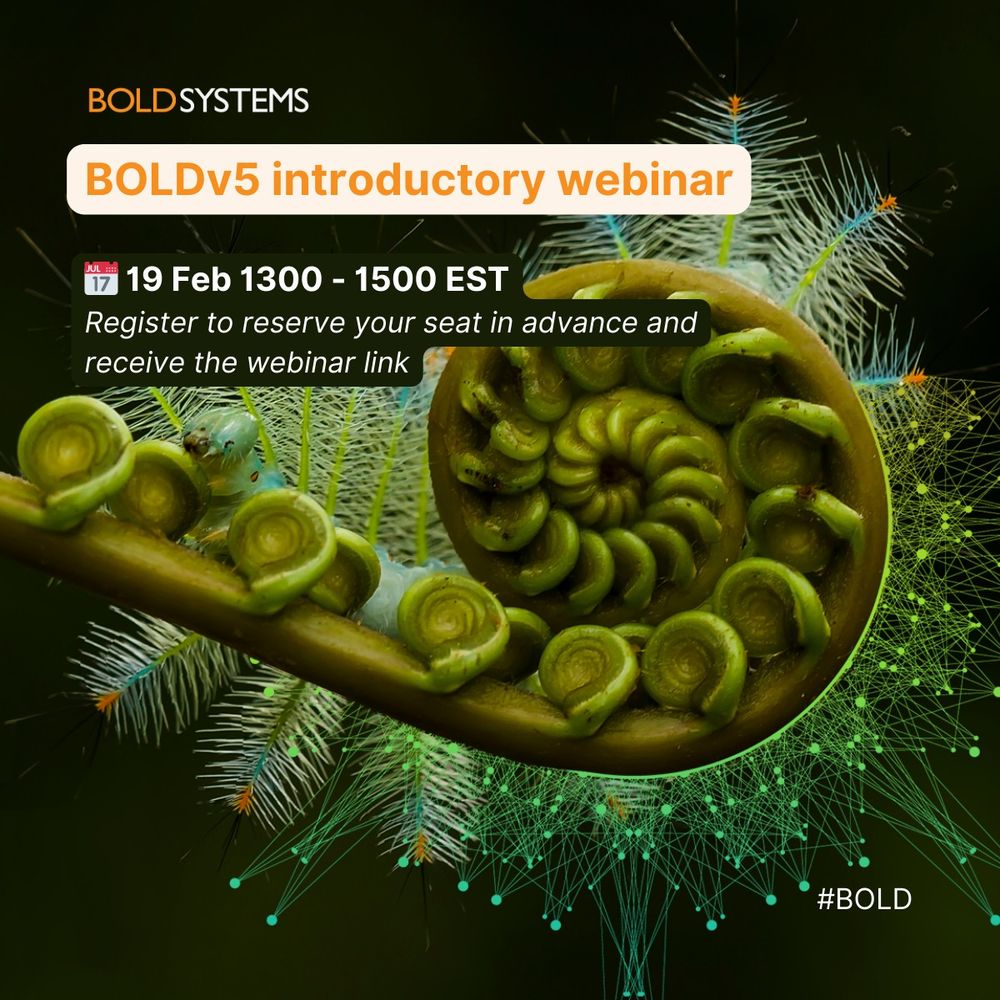 fern with text inviting to BOLD introductory webinar