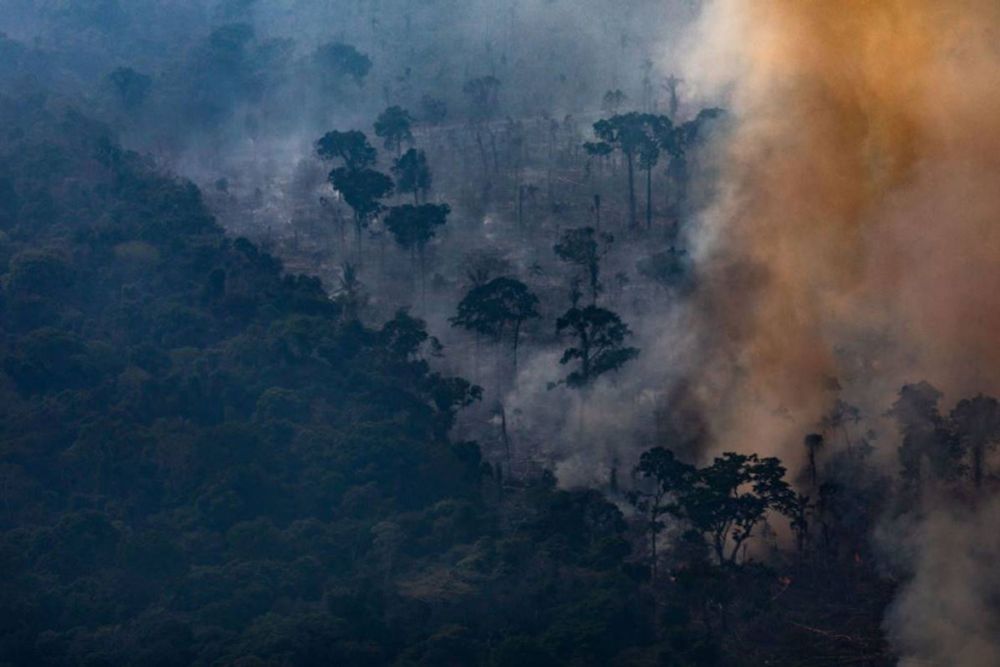 Amazônia já tem mais queimadas em 2024 do que em todo o ano passado