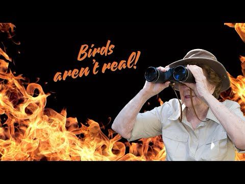 BIRDS ARE NOT REAL!