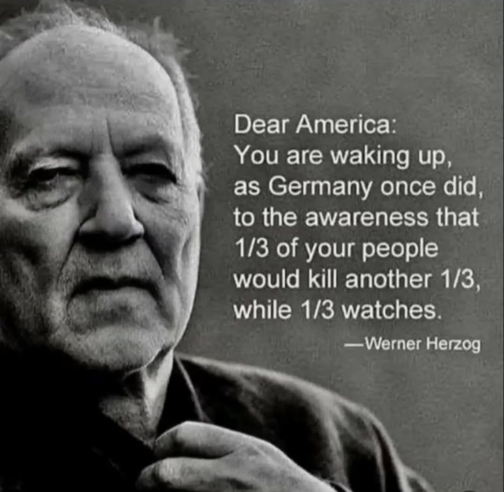 Werner Herzog: dear America. You are waking up, as Germany did, to the awareness that 1/3 of your people would kill another 1/3, while 1/3 watches.